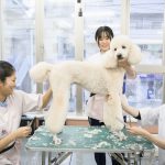 動物を扱う仕事に共通する知識と技術を実践的な環境の中で身につけよう！
