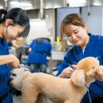 動物を扱う仕事に共通する知識と技術を 実践的な環境の中で身につけよう!