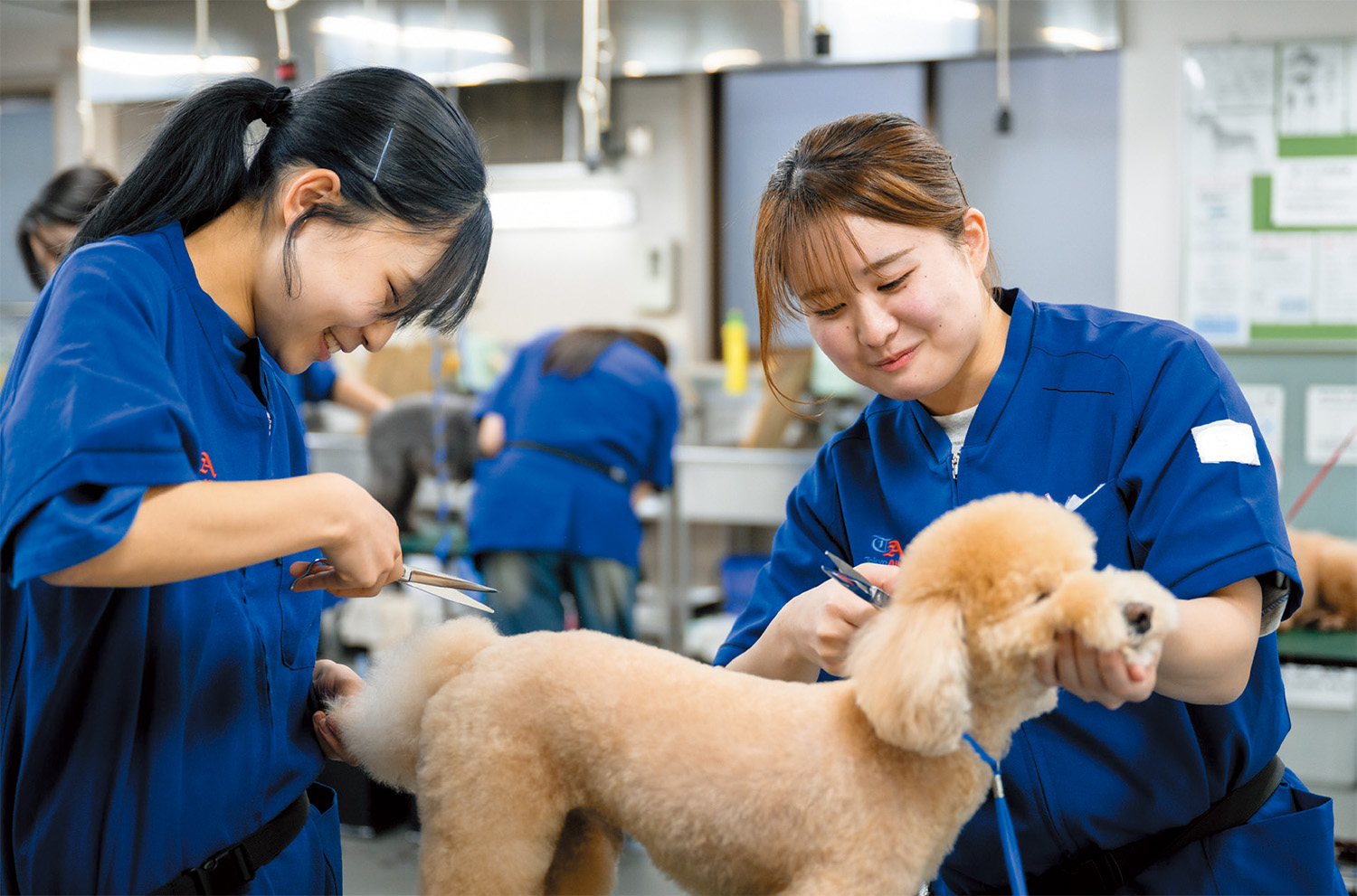 動物を扱う仕事に共通する知識と技術を 実践的な環境の中で身につけよう！